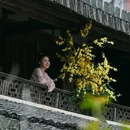 顺溪镇岭后村游客服务中心 - 温州市旅游 缩略图 7