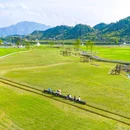 杭州湘湖景区 - 杭州市旅游 缩略图 4
