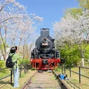 时光公园 - 杭州市旅游 缩略图 4