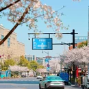 时光公园 - 杭州市旅游 缩略图 6