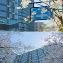 时光公园 - 杭州市旅游 缩略图 7