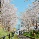时光公园 - 杭州市旅游 缩略图 8