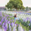 花博汇 - 武汉市旅游 缩略图 3