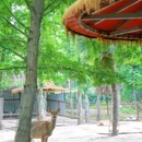 蜜泉湖旅游度假区 - 咸宁市旅游 缩略图 8