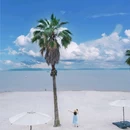 蜜泉湖旅游度假区 - 咸宁市旅游 缩略图 7