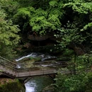 龙苍沟森林公园 - 雅安市旅游 缩略图 1