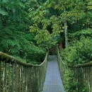 龙苍沟森林公园 - 雅安市旅游 缩略图 8