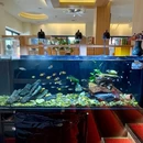 浅草·鱼蔵日本料理(七七街店) - 大连市旅游 缩略图 8