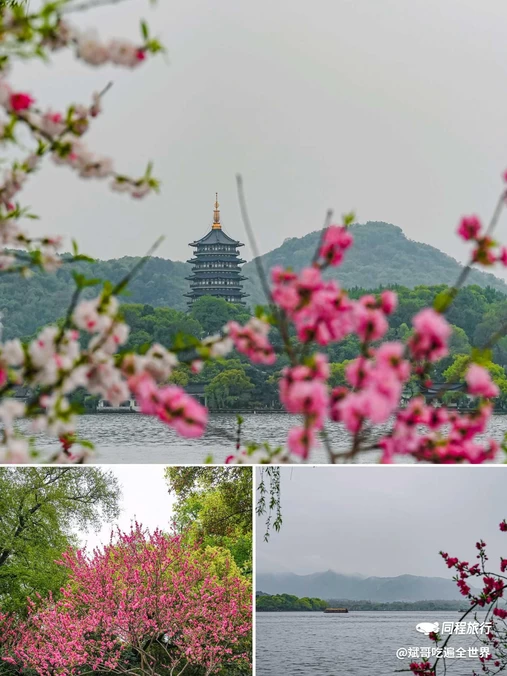 苏堤 - 杭州市旅游