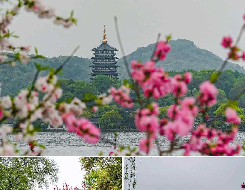 苏堤 - 杭州市旅游 1