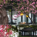 苏堤 - 杭州市旅游 缩略图 5