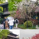苏堤 - 杭州市旅游 缩略图 4