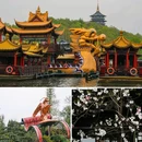 苏堤 - 杭州市旅游 缩略图 6