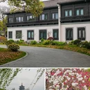 苏堤 - 杭州市旅游 缩略图 9