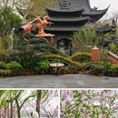 苏堤 - 杭州市旅游 缩略图 8