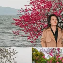 苏堤 - 杭州市旅游 缩略图 1