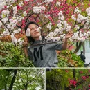 苏堤 - 杭州市旅游 缩略图 3