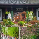 苏堤 - 杭州市旅游 缩略图 4