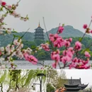苏堤 - 杭州市旅游 缩略图 9