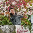 苏堤 - 杭州市旅游 缩略图 3
