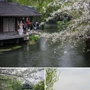 苏堤 - 杭州市旅游 缩略图 8