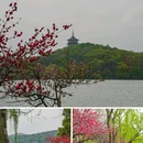 苏堤 - 杭州市旅游 缩略图 7