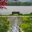 苏堤 - 杭州市旅游 缩略图 9