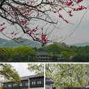 苏堤 - 杭州市旅游 缩略图 2