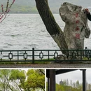 苏堤 - 杭州市旅游 缩略图 8