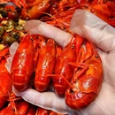 拙味兄弟·23年只做小龙虾(杭州首店) - 杭州市旅游 缩略图 2