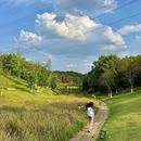 永安湖城市森林公园 - 成都市旅游 缩略图 3