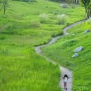 永安湖城市森林公园 - 成都市旅游 缩略图 1