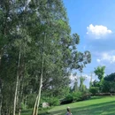 永安湖城市森林公园 - 成都市旅游 缩略图 7
