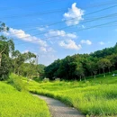 永安湖城市森林公园 - 成都市旅游 缩略图 8