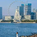 深圳湾公园 - 深圳市旅游 缩略图 4