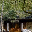 白蛇飞渡 - 杭州市旅游 缩略图 7