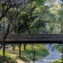 白蛇飞渡 - 杭州市旅游 缩略图 5