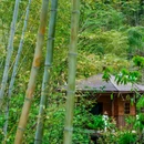 瀑布咖啡·小九寨沟版 - 湖州市旅游 缩略图 8