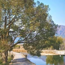 黟县卢村木雕楼景区 - 黄山市旅游 缩略图 3