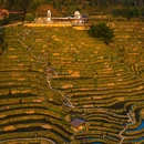 云和梯田景区 - 丽水市旅游 缩略图 5