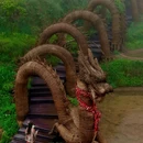 云和梯田景区 - 丽水市旅游 缩略图 7