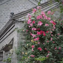 熙南里 - 南京市旅游 缩略图 4