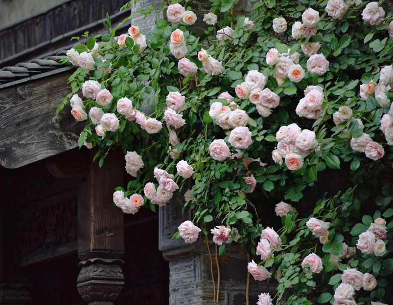 熙南里 - 南京市旅游 1