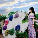 杭州花圃 - 杭州市旅游 缩略图 2