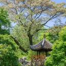 怡园 - 苏州市旅游 缩略图 1