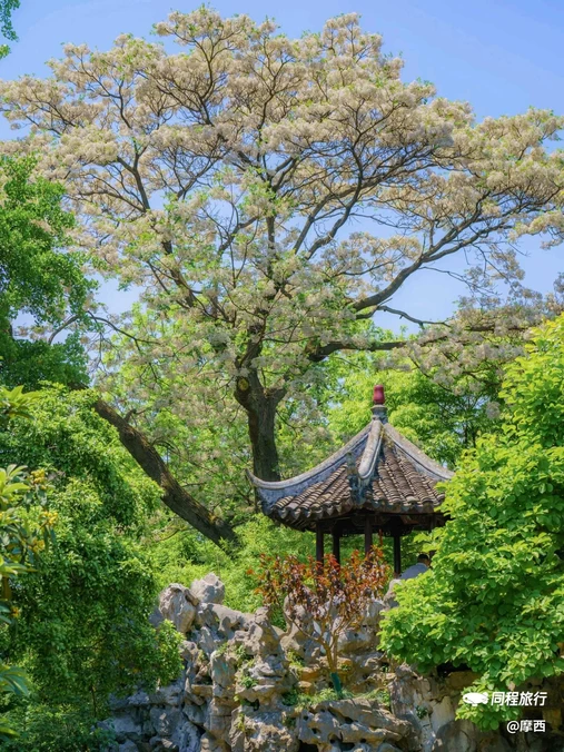 怡园 - 苏州市旅游