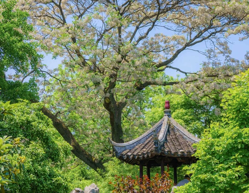 怡园 - 苏州市旅游 1