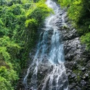 天柱峰景区 - 宜春市旅游 缩略图 7