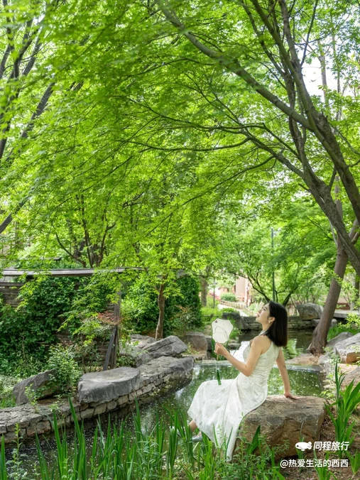 曲阜尼山圣境 - 济宁市旅游