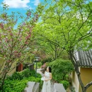 曲阜尼山圣境 - 济宁市旅游 缩略图 7